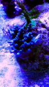 AC6FA825-121D-4105-83B5-F6D126BC135C.jpeg