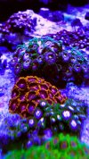89158F15-5026-493D-BE58-D9EEA832D380.jpeg