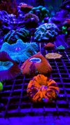 05755630-8810-4629-8AAD-CE2253528C71.jpeg