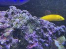 F0100C04-D5DE-471D-A054-9E805DA499AB.jpeg