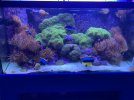 TANKPIC-122521.jpg