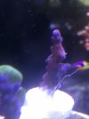 6B472EA7-281A-4397-A7DC-BCEBA5AD6188.jpeg