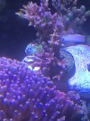 E77572DF-C6A3-4D77-937E-DF13FDADC6D8.jpeg