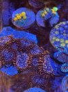 F806E211-770C-4430-8D54-A1470AF6C1C4.jpeg