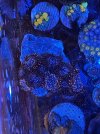 09FD8DED-DD09-4957-A432-2B0511DFE904.jpeg