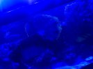 4ED1A53B-DFBC-423D-B146-105D30B9ACEF.jpeg
