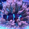 20220528_152034.jpg