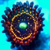 Zoanthids - Illuminati (2).jpg