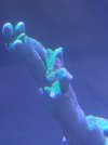 IMG_20220804_135408644.jpg