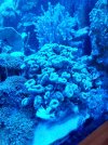 20220805_171801.jpg