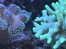 E16D8112-AD8C-40BC-91E6-7C22BB0B0D9E.jpeg