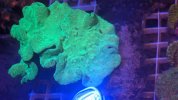 PXL_20230128_180145600.jpg