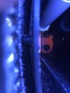61BA1423-6EAC-4720-AD8D-D3AF0F7CF1EB.jpeg