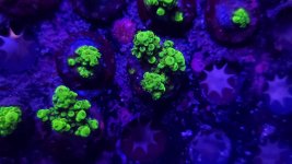 20230407_110956 - Copy.jpg