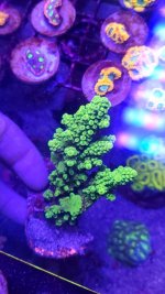 20230407_111015 - Copy.jpg