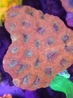 20230405_172744 - Copy.jpg