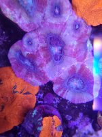 20230405_172747 - Copy.jpg