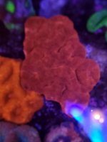 20230405_172751 - Copy - Copy.jpg