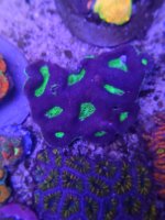 20230405_172757 - Copy - Copy.jpg