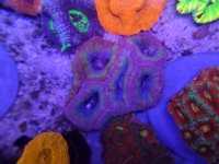 20230405_172817 - Copy - Copy.jpg