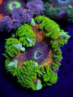 20230405_175010 - Copy - Copy.jpg