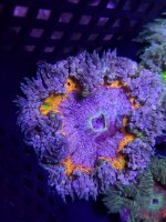 20230405_175014 - Copy - Copy.jpg