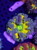 20230405_175017 - Copy - Copy.jpg