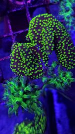 20230407_111051 - Copy (2) - Copy.jpg