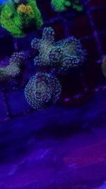 20230407_111100 - Copy - Copy - Copy.jpg