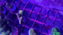 20230407_111110 - Copy (2) - Copy.jpg