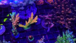 20230407_111136 - Copy.jpg