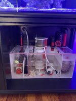 IMG_7565.jpeg