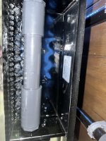 IMG_4196.jpeg