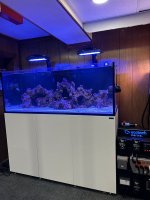 IMG_5133.jpeg