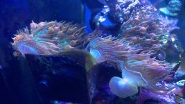 image_6483441 (4).JPG