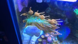 image_6483441 (3).JPG