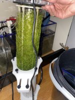 IMG_1264.jpeg