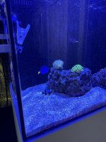 IMG_7290.jpeg