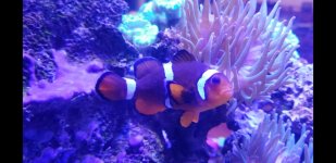 Screenshot_20231012-201855_Video Player.jpg