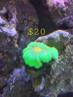 20231026_202410 2.jpg