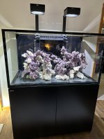 IMG_1714.jpeg