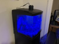 Biocube-Kessil-Canopy.jpg
