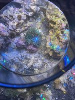 IMG_0913.jpeg