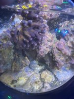 IMG_0914.jpeg