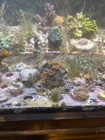 IMG_0906.jpeg