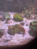 IMG_0903.jpeg