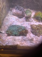 IMG_0902.jpeg
