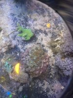 IMG_0912.jpeg