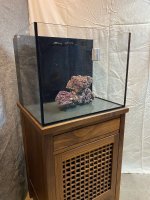 IMG_4624.jpg