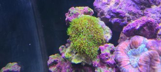 20240414_101737.jpg